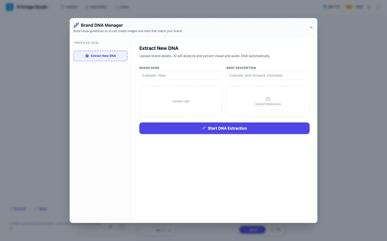 Muse English Brand DNA manager screenshot